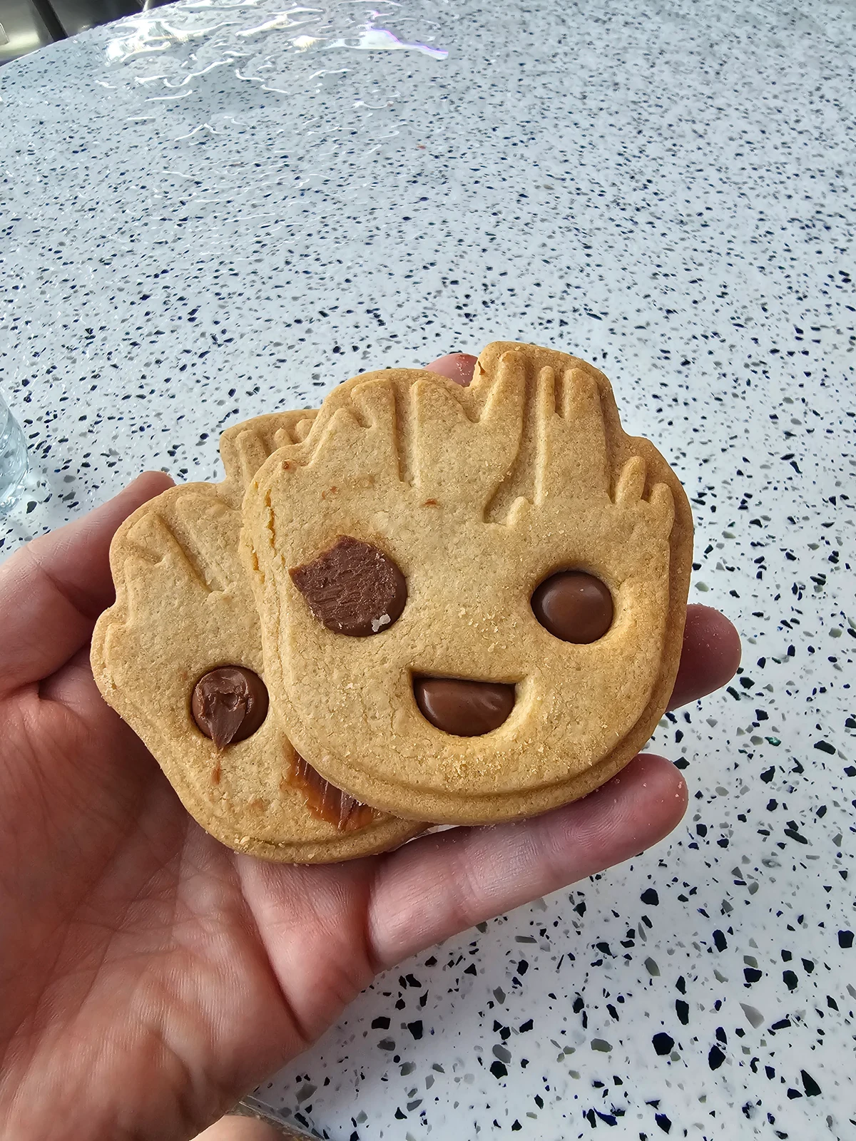 Disneyland Paris - Disney Adventure World - Flora Colossus Biscuits - FAN-tastic Food Truck